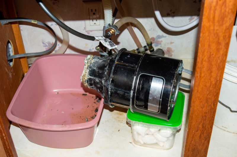 Garbage Disposal Repair in Carson City, NV
